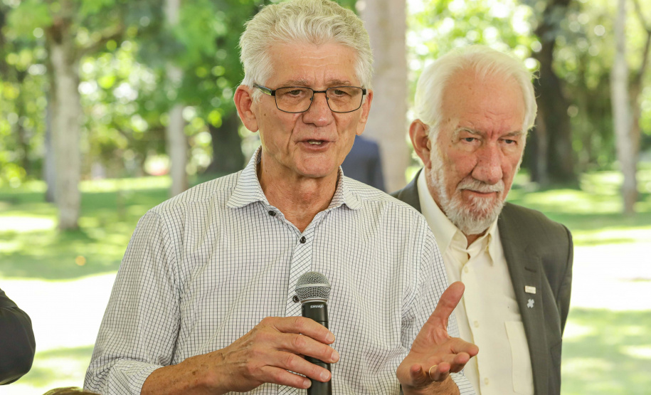 Abelhas nativas - jardins do palácio