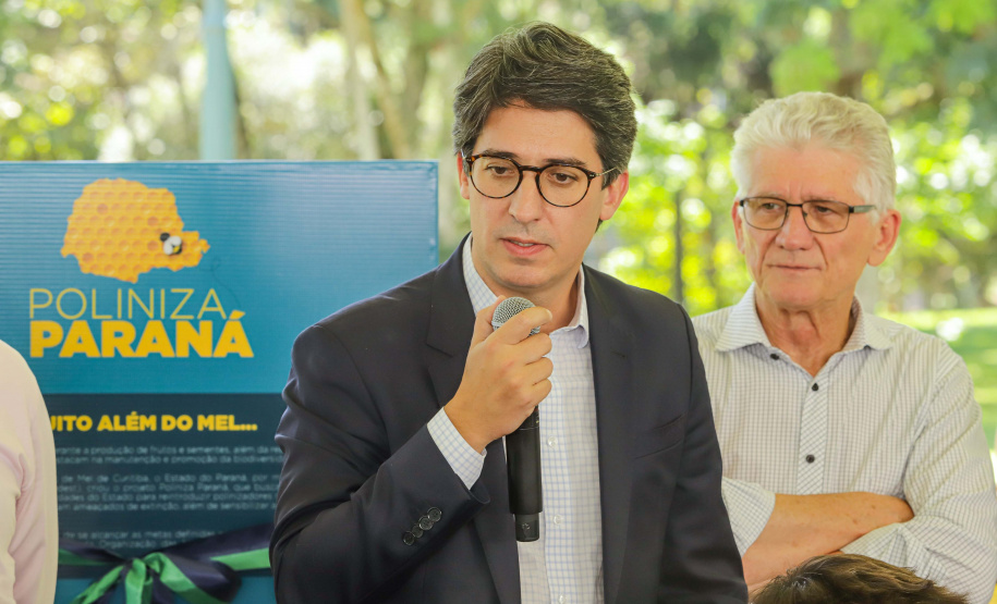 Abelhas nativas - jardins do palácio