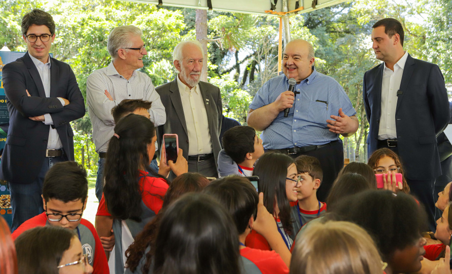 Abelhas nativas - jardins do palácio