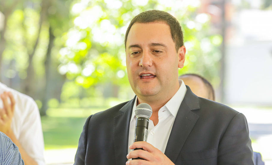 Abelhas nativas - jardins do palácio