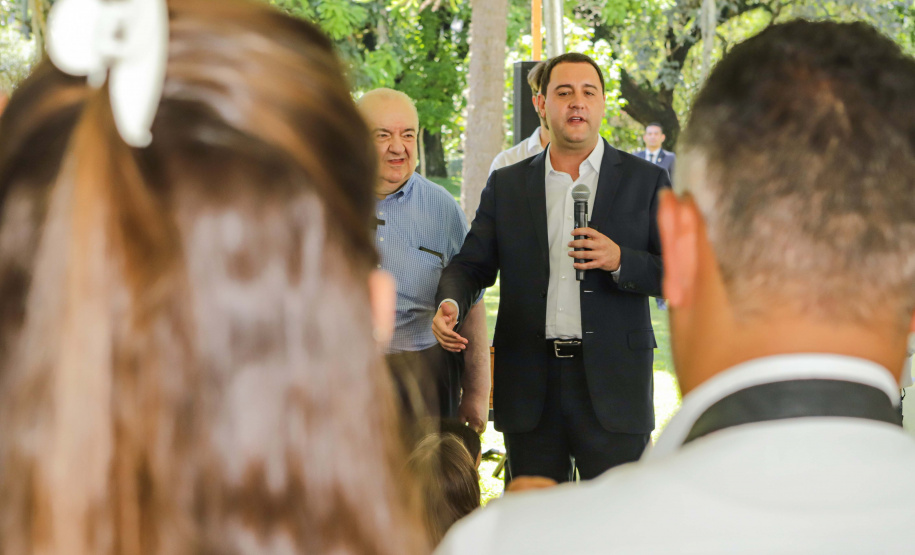 Abelhas nativas - jardins do palácio