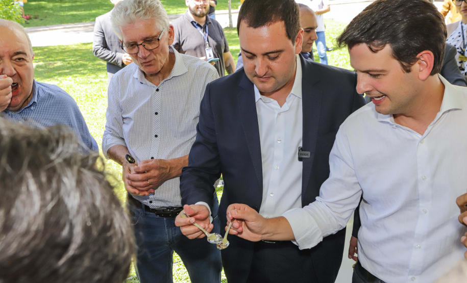 Abelas nativas - jardins palácio