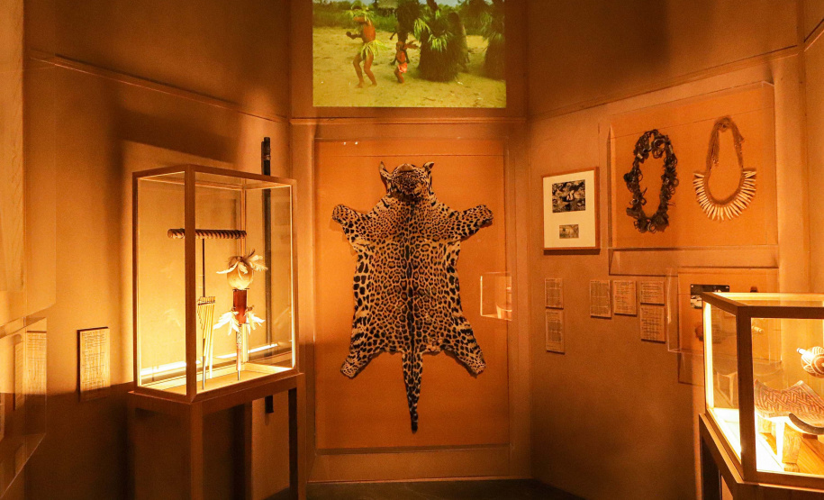 Série especial - MUPA