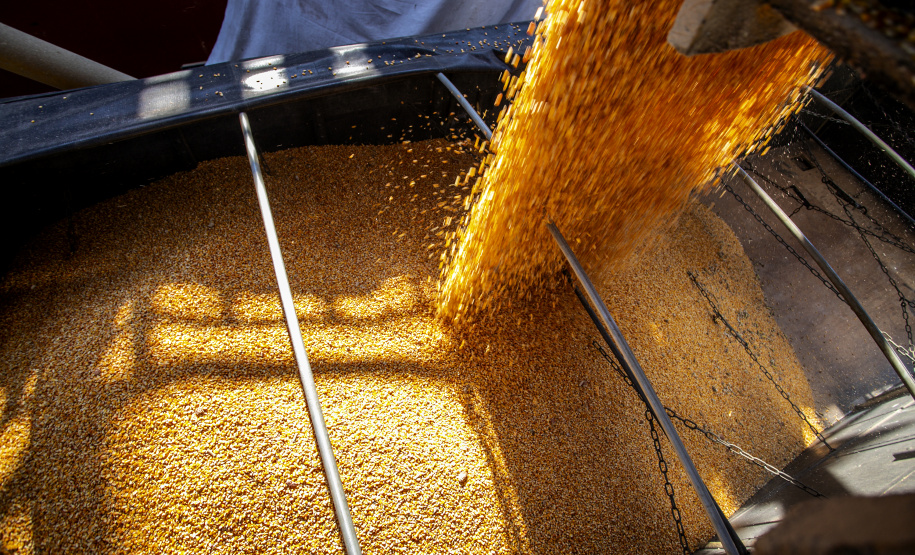 Porto de Paranaguá celebra 88 anos com foco no futuro