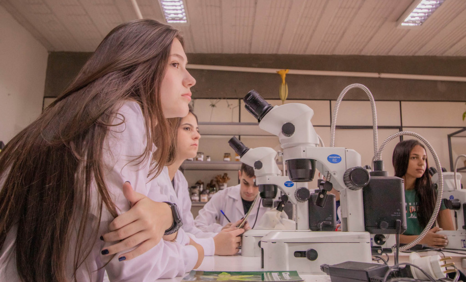 Mulheres são maioria nas universidades estaduais do Paraná