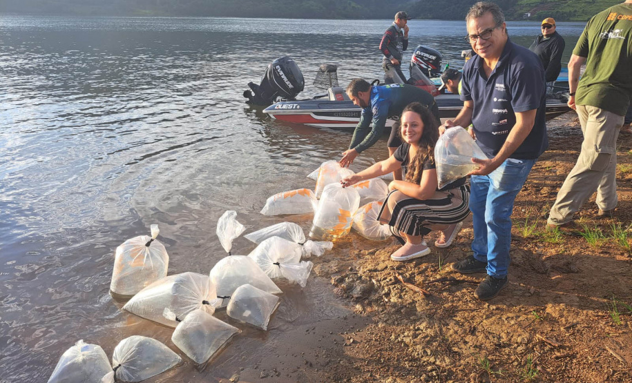 Soltura de peixe surubim na da 7ª Copa Iguaçu de Pesca Esportiva