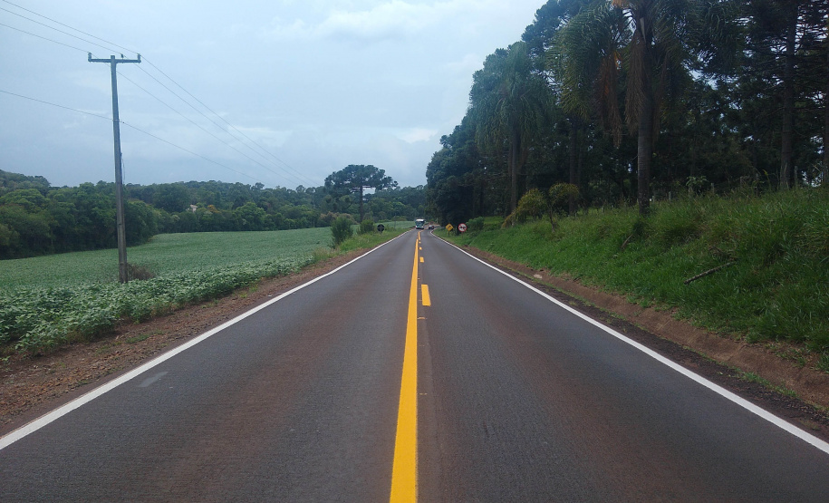 Rodovia entre Pato Branco e Itapejara d’Oeste recebe reforço de sinalização