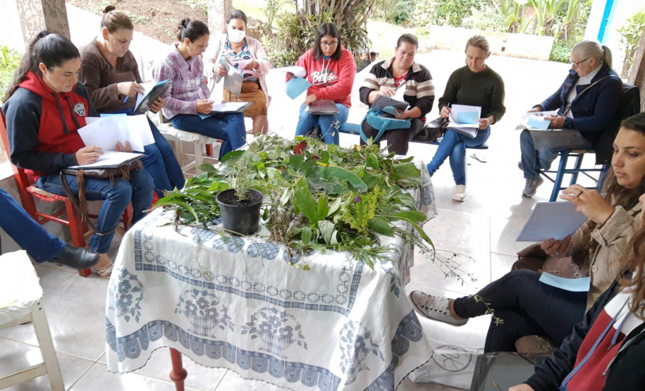 Projeto da Unicentro incentiva autonomia de agricultoras por meio do uso de plantas medicinais