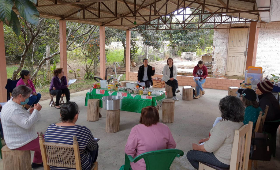 Projeto da Unicentro incentiva autonomia de agricultoras por meio do uso de plantas medicinais