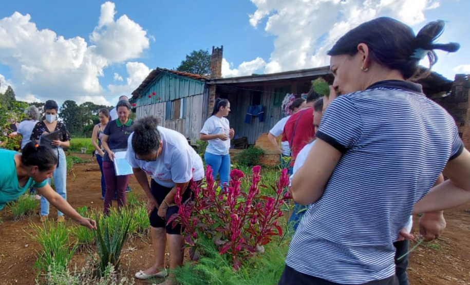 Projeto da Unicentro incentiva autonomia de agricultoras por meio do uso de plantas medicinais