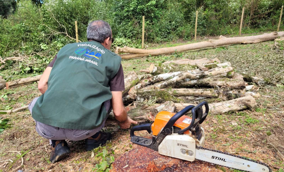 Desmatamento Quitandinha