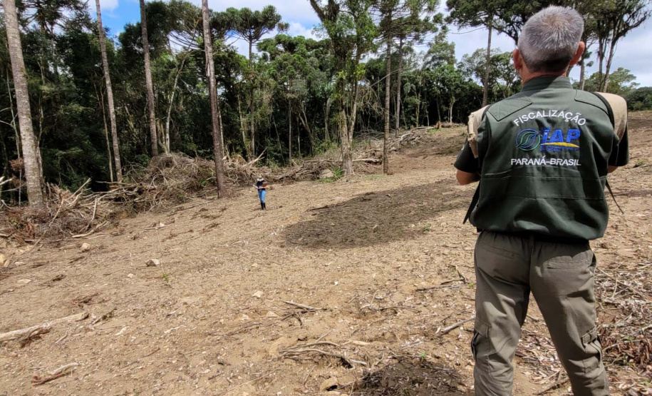 Desmatamento Quitandinha