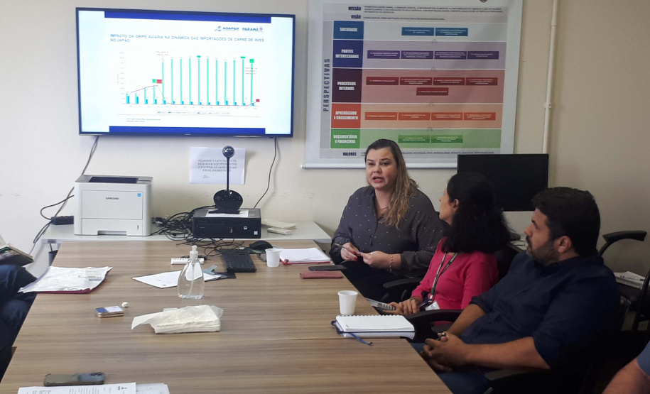 Reunião prevenção à gripe aviária