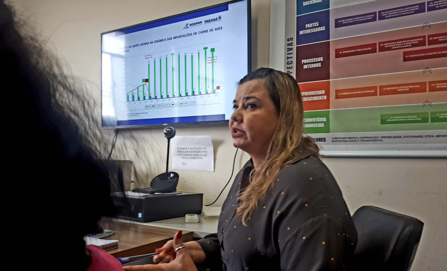 Reunião prevenção à gripe aviária