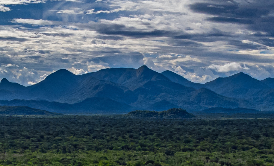 Copel comemora sucesso da chamada pública na área de hidrogênio verde