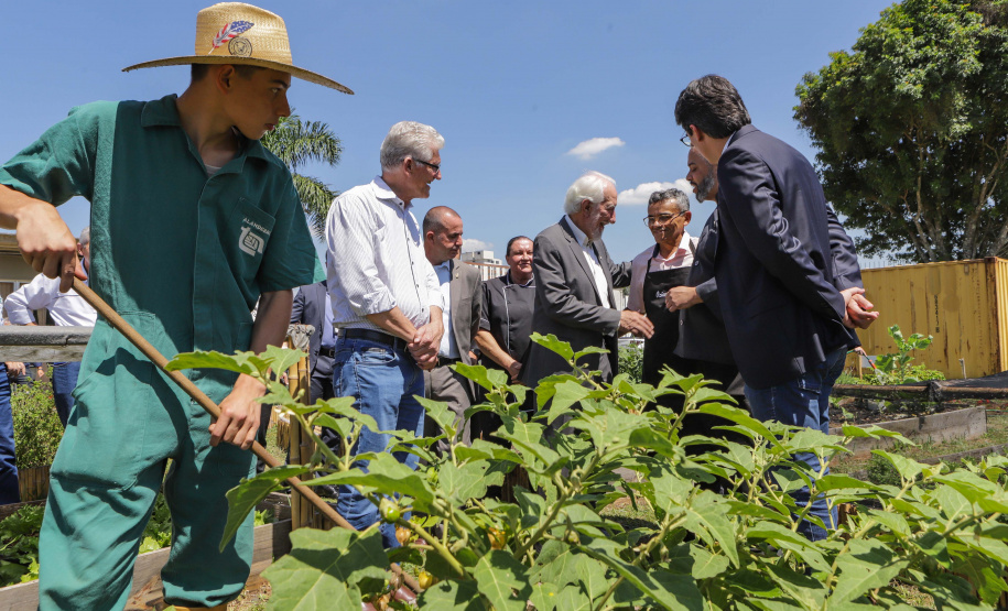 Abelas nativas - jardins palácio