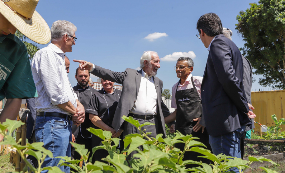 Abelas nativas - jardins palácio