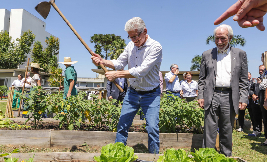 Abelas nativas - jardins palácio