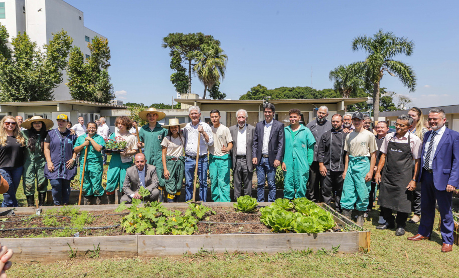 Abelas nativas - jardins palácio