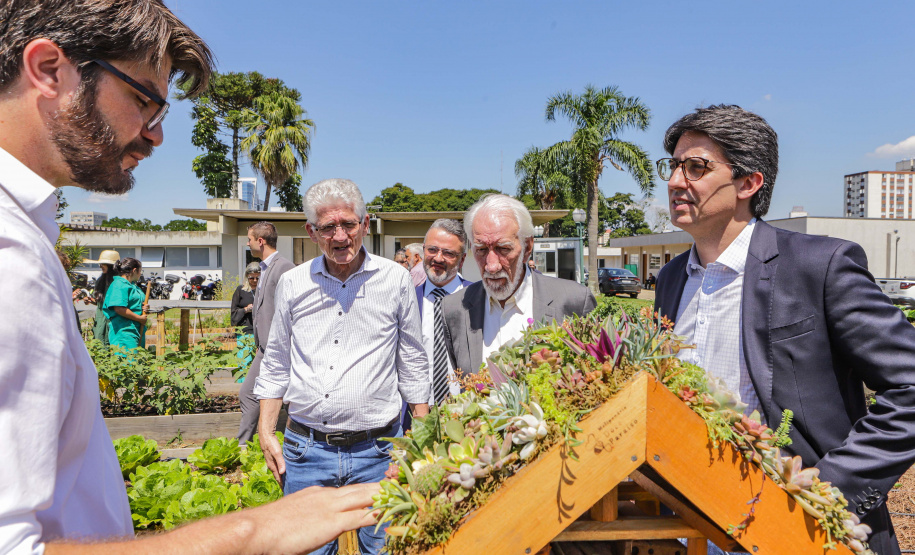 Abelas nativas - jardins palácio