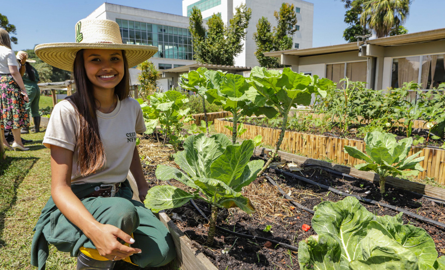 Abelas nativas - jardins palácio
