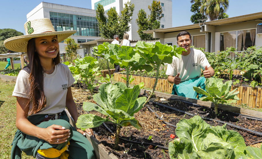 Abelas nativas - jardins palácio