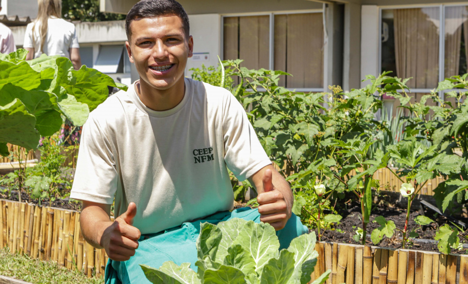 Abelas nativas - jardins palácio
