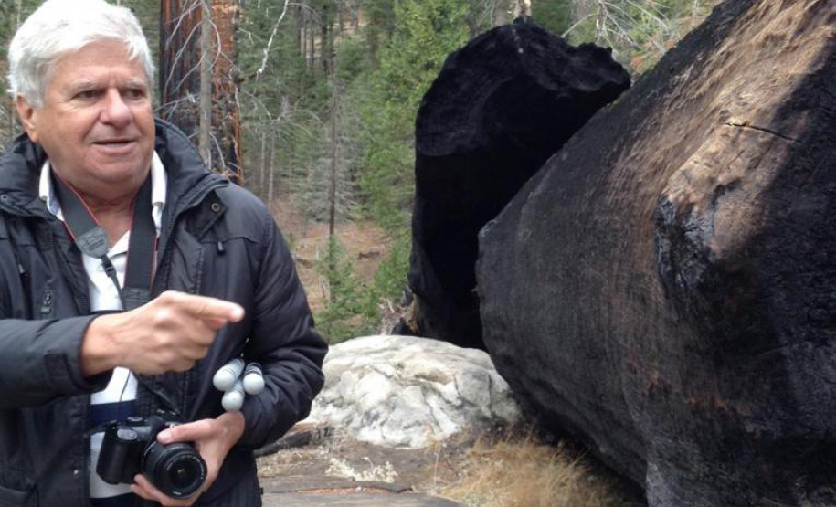 MIS-PR integra Festival de Curitiba com Mostra Warly Ribeiro