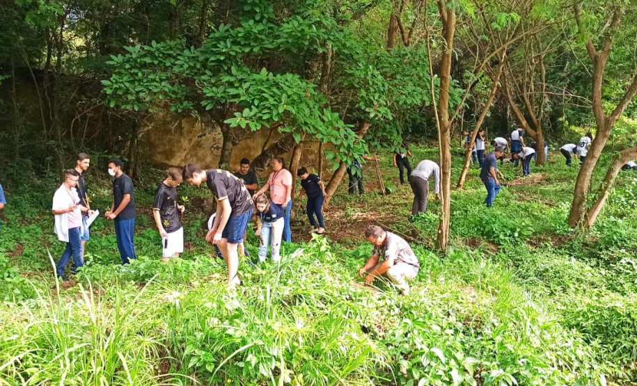 IAT vai plantar 18 mil mudas de espécies nativas em nascentes de rios do Paraná