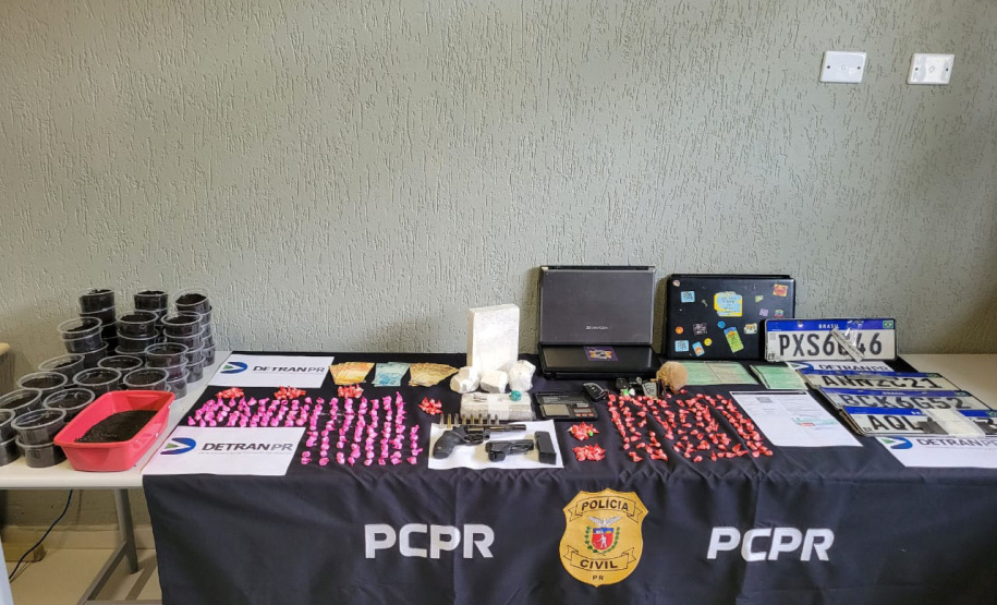 Policiais prendem dez pessoas em esquema que burlava sistema de transferências de veículos