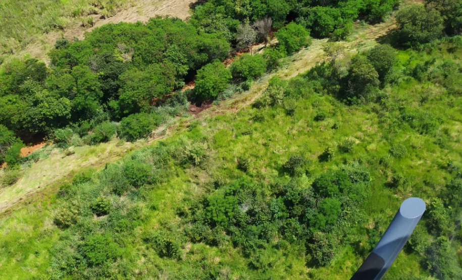 Defesa Civil monta força-tarefa para ajudar Bandeirantes; 270 famílias são afetadas