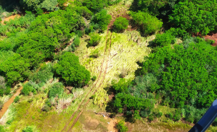 Defesa Civil monta força-tarefa para ajudar Bandeirantes; 270 famílias são afetadas