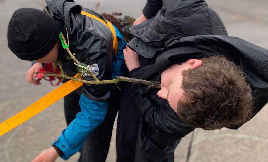 MAC Paraná abre espaço inédito e contínuo para artistas de performance