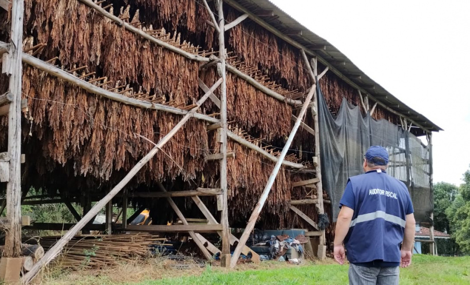 Receita Estadual identifica estoque irregular com 45 toneladas de fumo