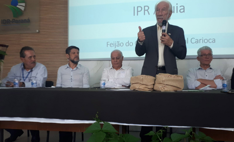 Lançamento do Feijão IPR Águia, em Ponta Grossa