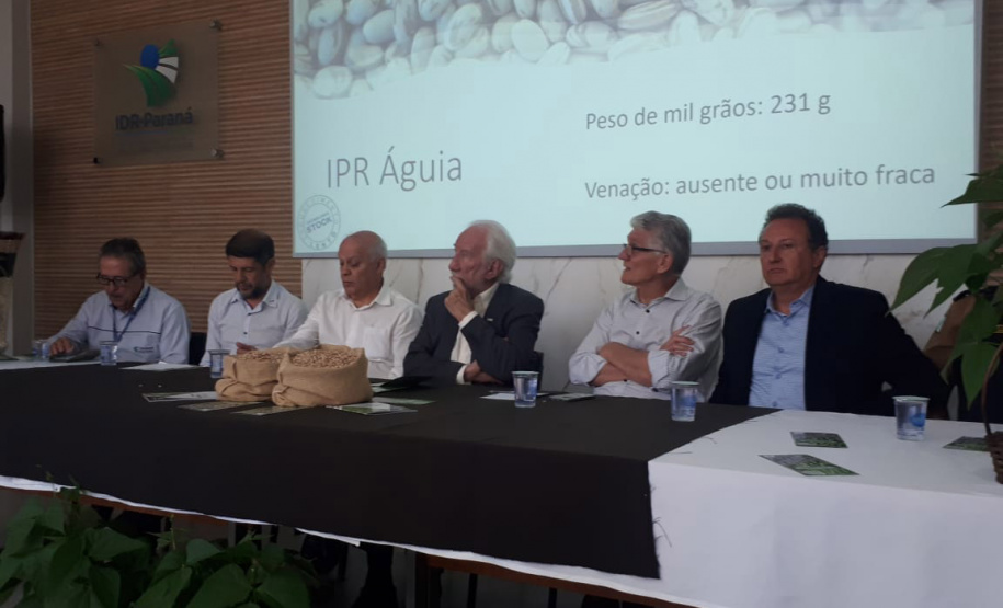 Lançamento do Feijão IPR Águia, em Ponta Grossa