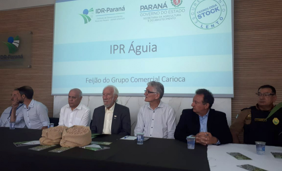 Lançamento do Feijão IPR Águia, em Ponta Grossa