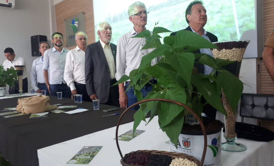 Lançamento do Feijão IPR Águia, em Ponta Grossa
