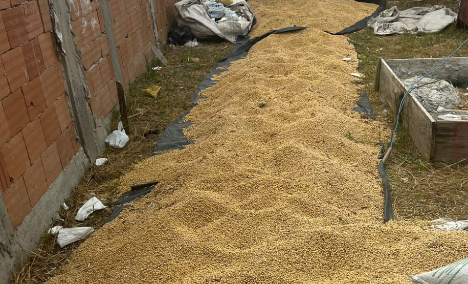 Após denúncia pelo 181, Polícia Militar apreende três toneladas de soja furtadas em Paranaguá