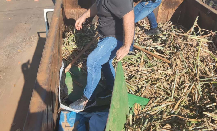 Polícias Civil e Militar apreendem mil caixas de cigarros contrabandeados no norte do Paraná