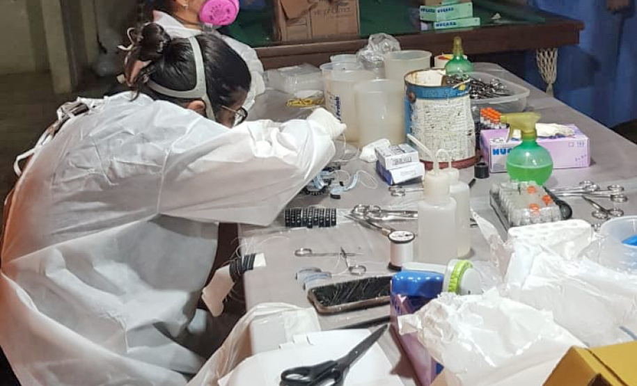 Sesa realiza ação de prevenção e controle da hantavirose em Guarapuava