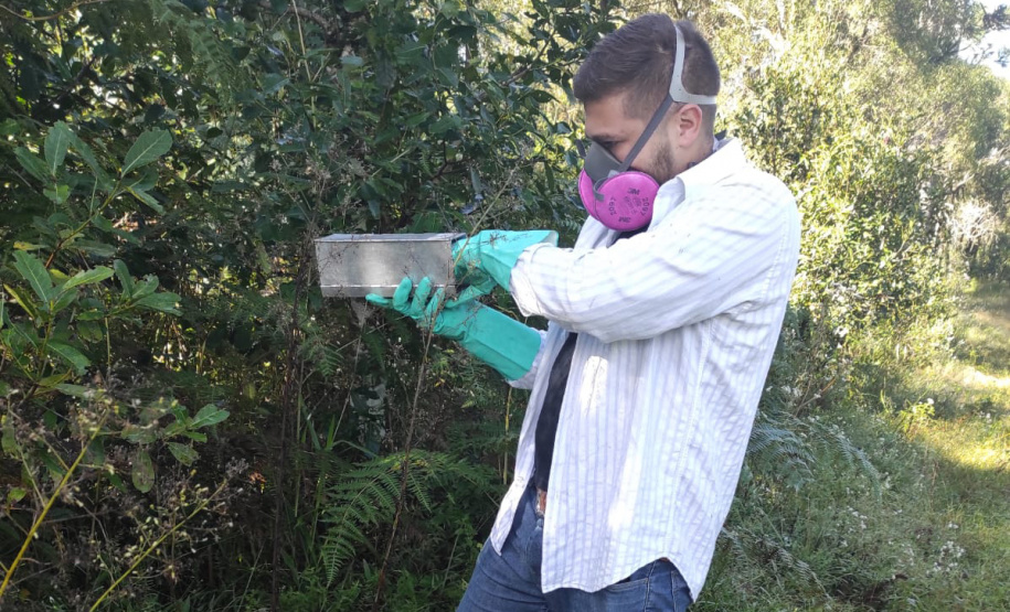 Sesa realiza ação de prevenção e controle da hantavirose em Guarapuava
