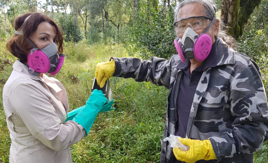 Sesa realiza ação de prevenção e controle da hantavirose em Guarapuava