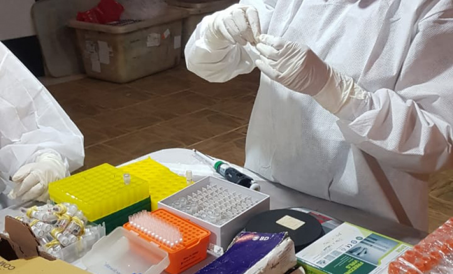 Sesa realiza ação de prevenção e controle da hantavirose em Guarapuava