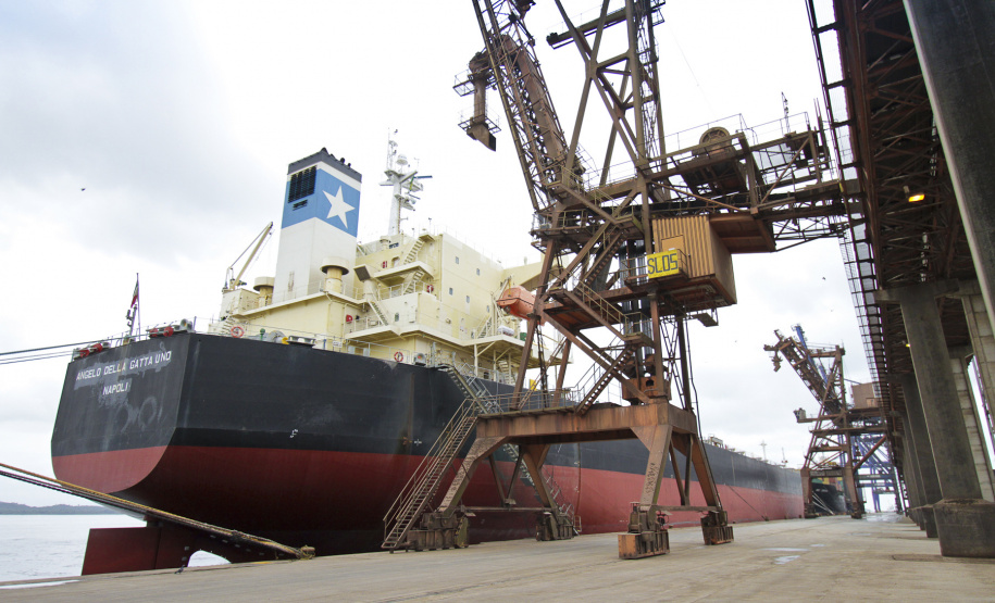 Corrida do Porto de Paranaguá arrecada 14 toneladas de alimentos com 1.200 inscrições
