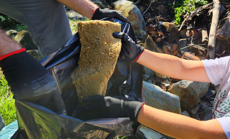 Portos do Paraná comanda mutirão de limpeza de resíduos sólidos na ilha de Eufrasina