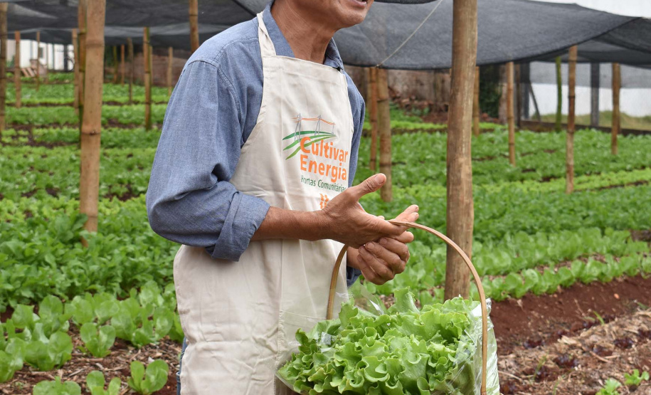 Programa Cultivar Energia inaugura primeira horta em Londrina