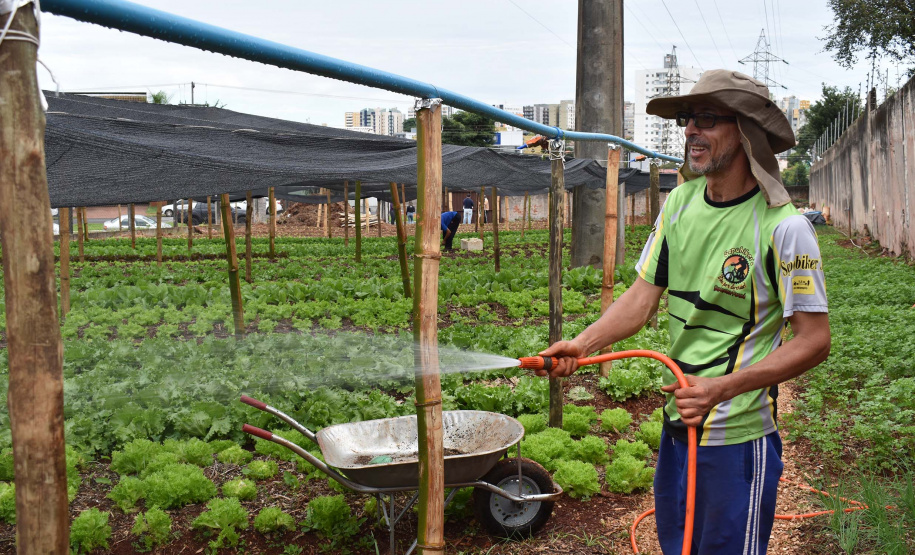 Programa Cultivar Energia inaugura primeira horta em Londrina