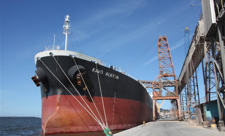 Corrida do Porto de Paranaguá arrecada 14 toneladas de alimentos com 1.200 inscrições