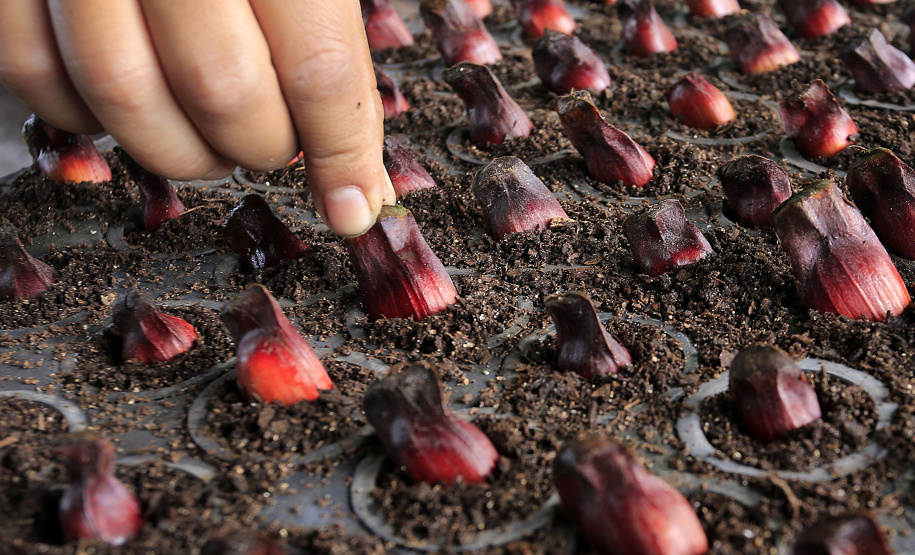 Paraná se mantém no topo da sustentabilidade com ampliação de programas e novas ações